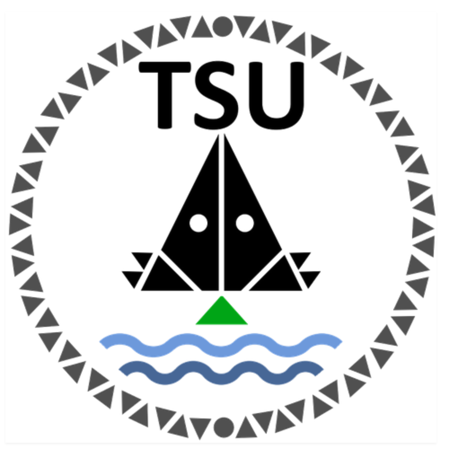 Taiwan Space Union